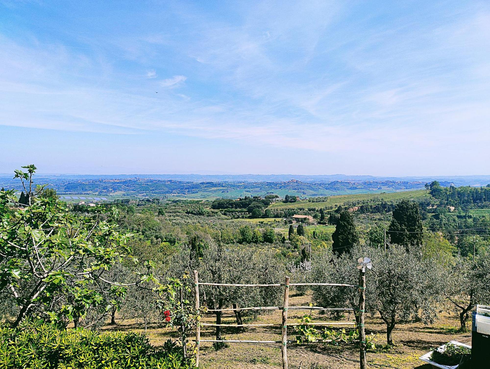 La Casina Di Colle - Appartamento Rustico Sulle Colline Di Pisa Кашиана-Терме Экстерьер фото